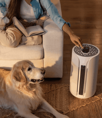 A person sitting on a couch with a book adjusts an air purifier while a golden retriever lies on a rug nearby, and massage guns rest within easy reach for relaxation.